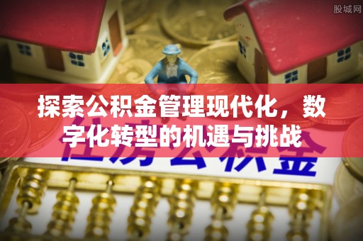 开平探索公积金管理现代化，数字化转型的机遇与挑战