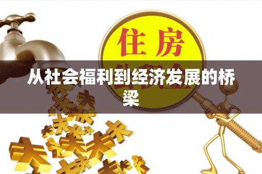 开平从社会福利到经济发展的桥梁