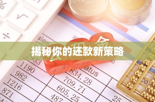开平揭秘你的还款新策略