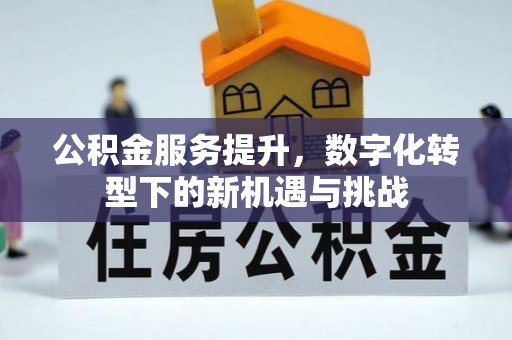 开平公积金服务提升，数字化转型下的新机遇与挑战