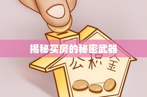 开平揭秘买房的秘密武器