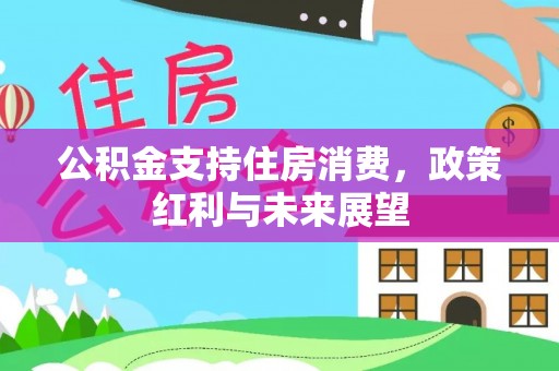 开平公积金支持住房消费，政策红利与未来展望