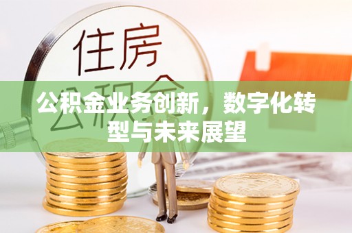 开平公积金业务创新，数字化转型与未来展望
