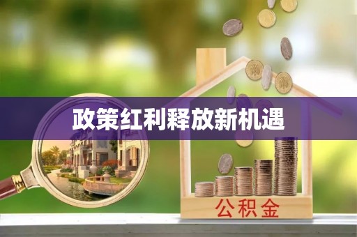 开平政策红利释放新机遇