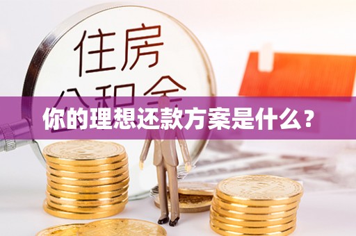 开平你的理想还款方案是什么？