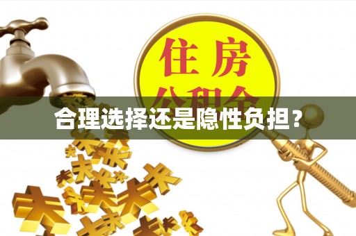 开平合理选择还是隐性负担？