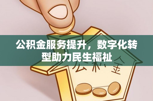 开平公积金服务提升，数字化转型助力民生福祉