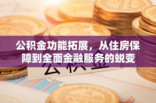 开平公积金功能拓展，从住房保障到全面金融服务的蜕变