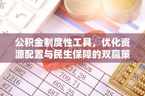 开平公积金制度性工具，优化资源配置与民生保障的双赢策略