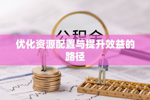 开平优化资源配置与提升效益的路径
