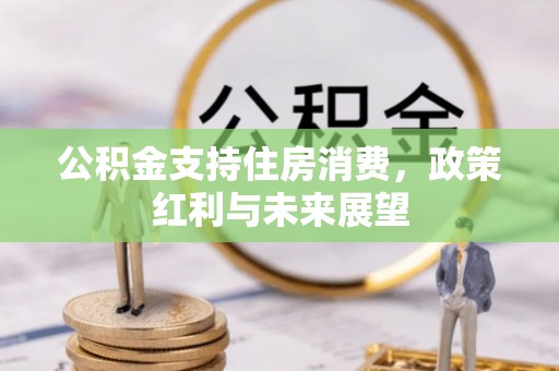 开平公积金支持住房消费，政策红利与未来展望