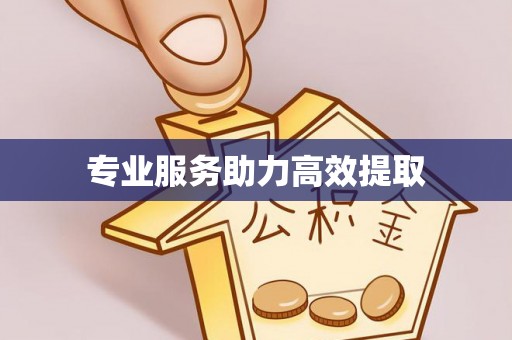 开平专业服务助力高效提取