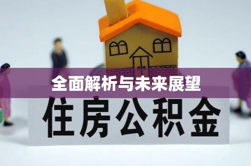 开平全面解析与未来展望