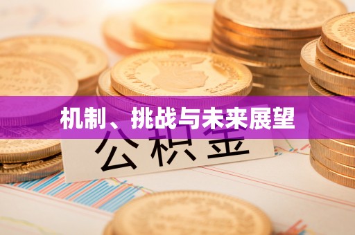 开平机制、挑战与未来展望