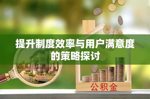 开平提升制度效率与用户满意度的策略探讨