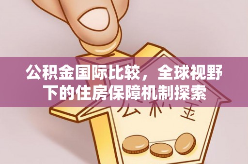 开平公积金国际比较，全球视野下的住房保障机制探索
