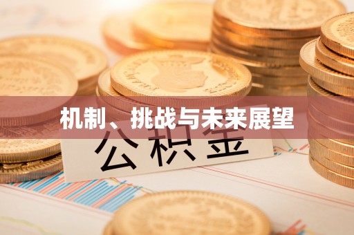 开平机制、挑战与未来展望